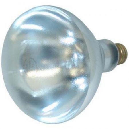 AllPoints 38-1135 Infrared Heat Lamp Bulb, 6-9/16" long x 5" dia., shatter-proof, with stands, temperatures